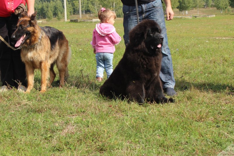 Фотография № 134041