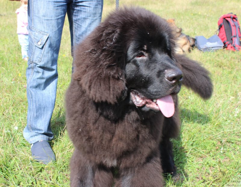 Фотография № 134046