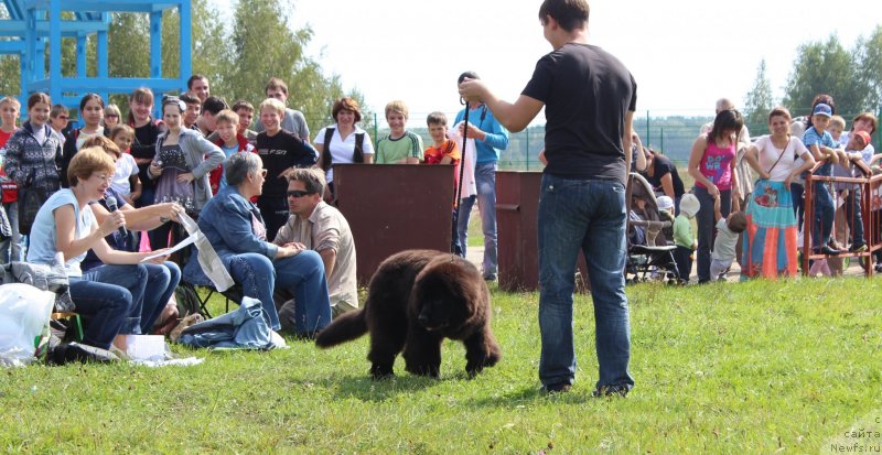 Фотография № 134047