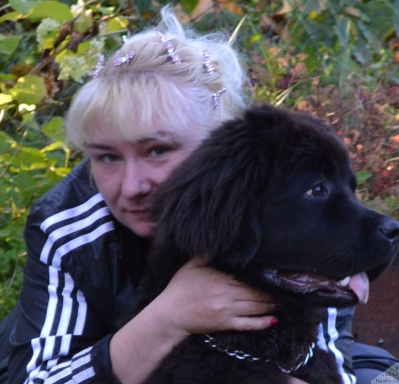 Фотография № 134063