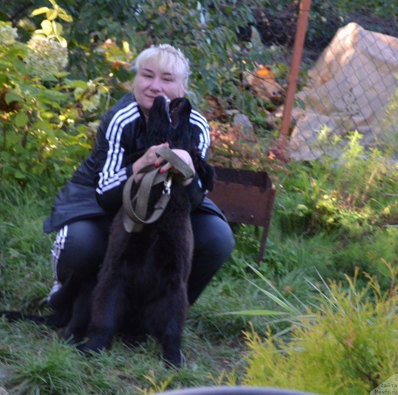 Фотография № 134066