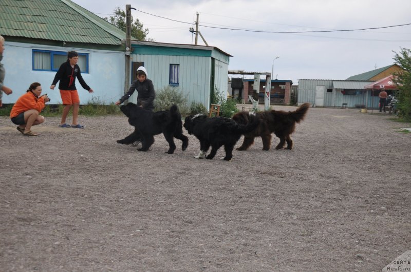 Фотография № 134079