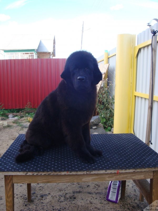 Фотография № 134080