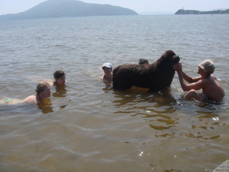 Фотография № 134086