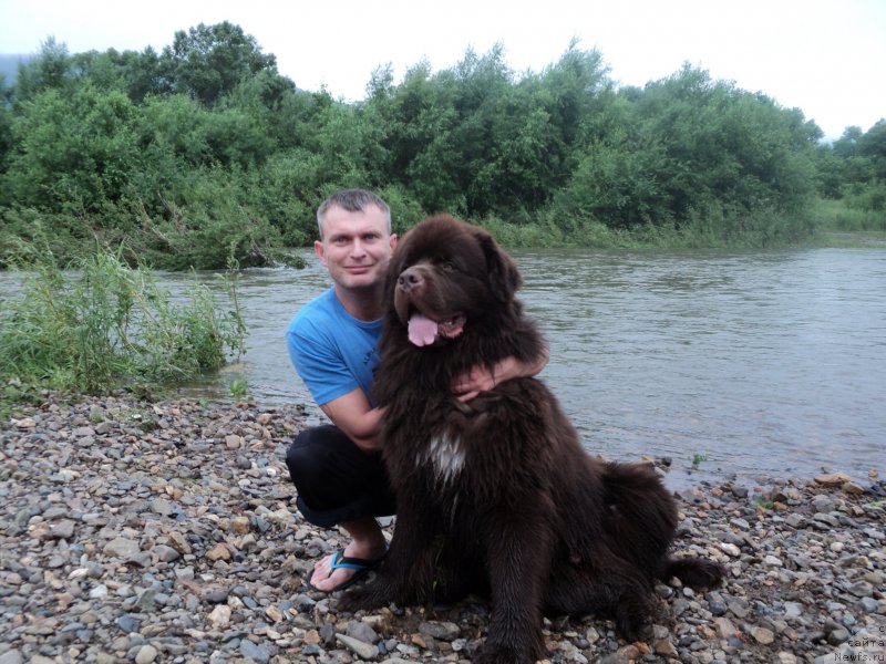 Фотография № 134089