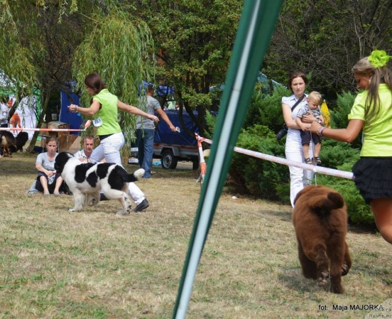 Фотография № 134090