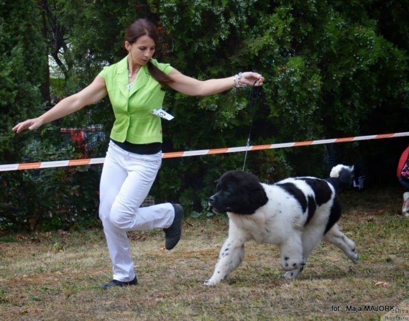 Фотография № 134091