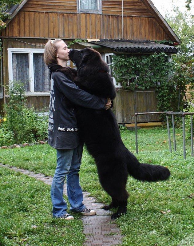 Фотография № 134100