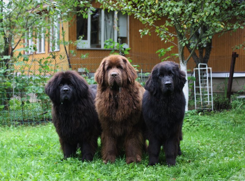 Фотография № 134102