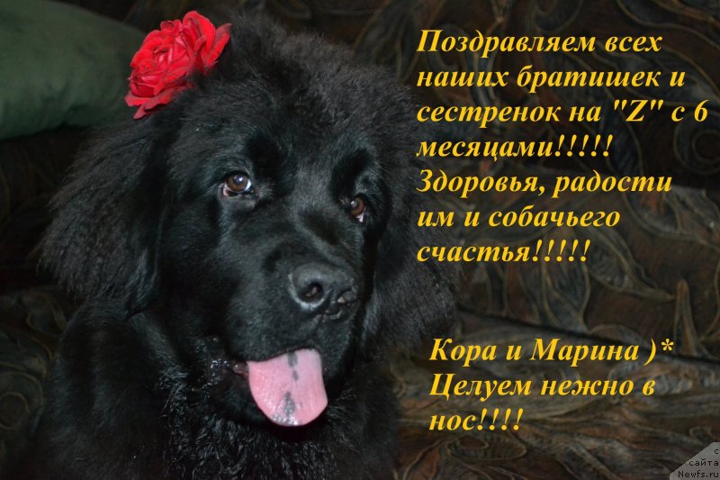 Фотография № 134103