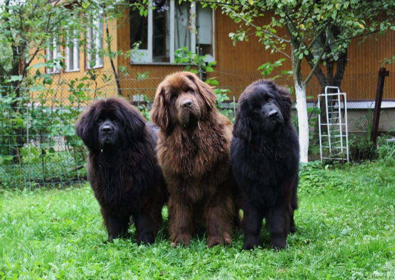 Фотография № 134104