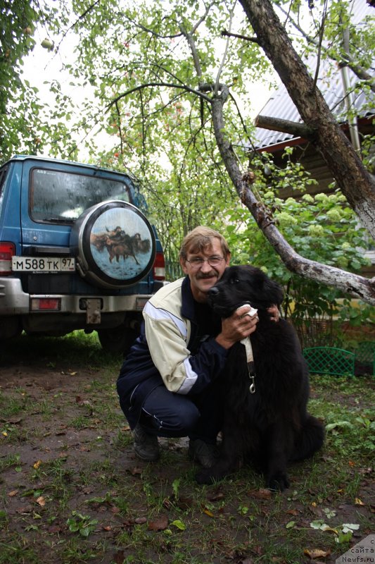 Фото: ньюфаундленд Soul of Rouz Assia (Соул оф Роуз Ассиа)