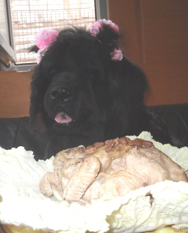 Фотография № 134111