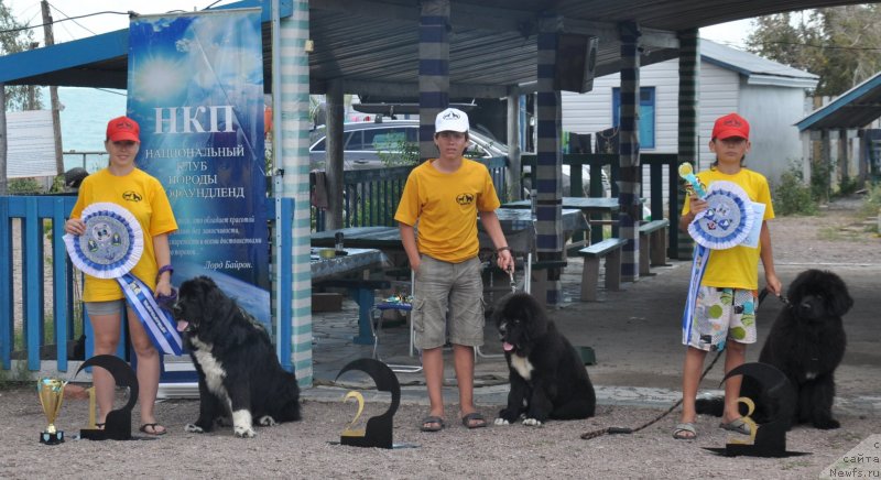 Фотография № 134145