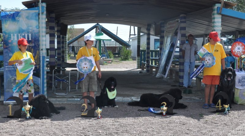 Фотография № 134146