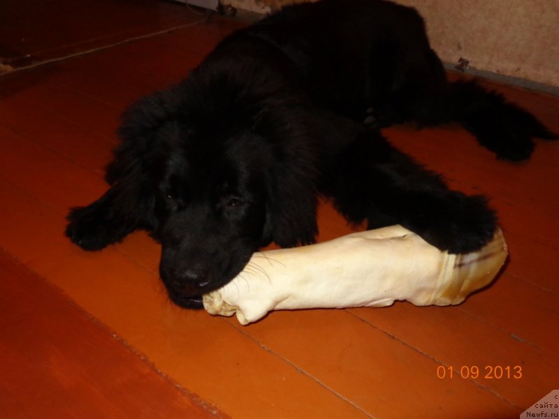 Фотография № 134157