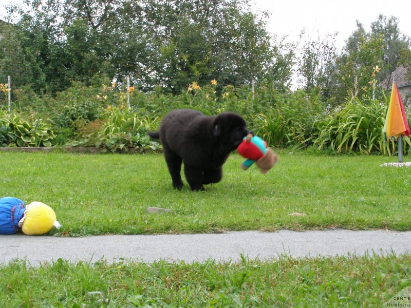 Фотография № 134164