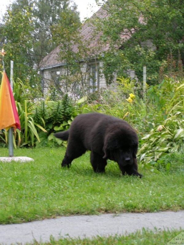 Фотография № 134165