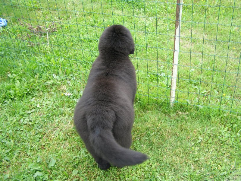 Фотография № 134166