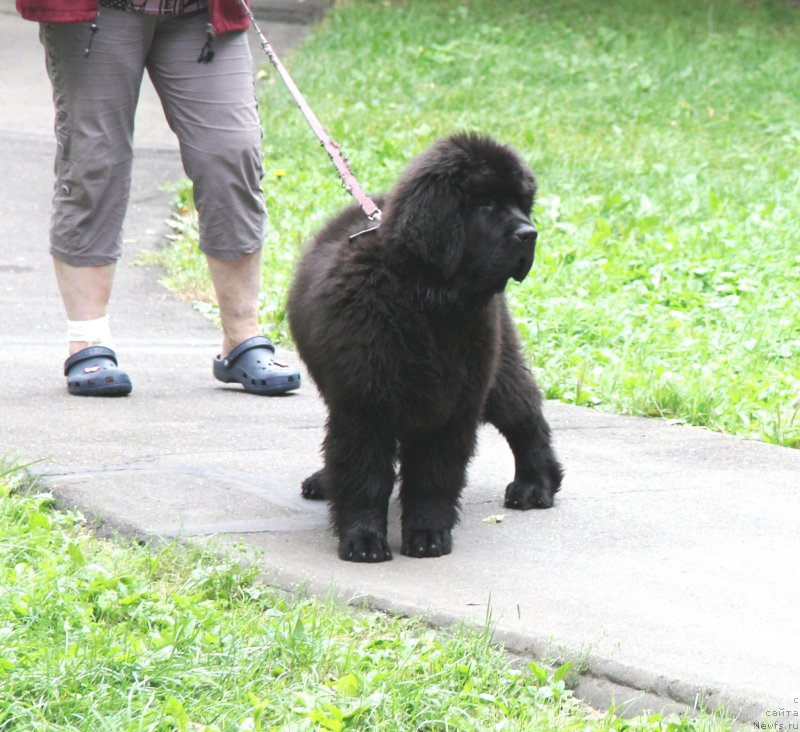 Фотография № 134169