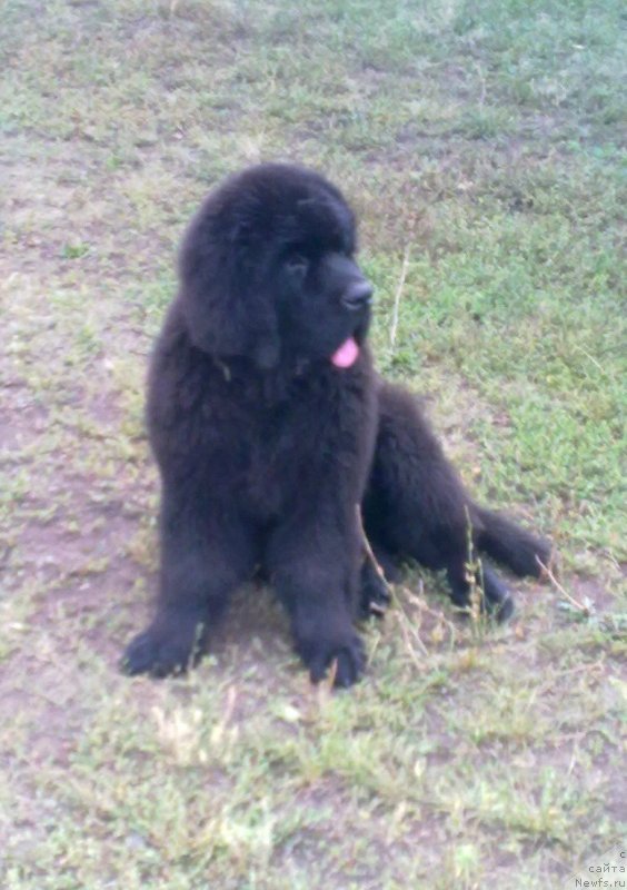 Фотография № 134176