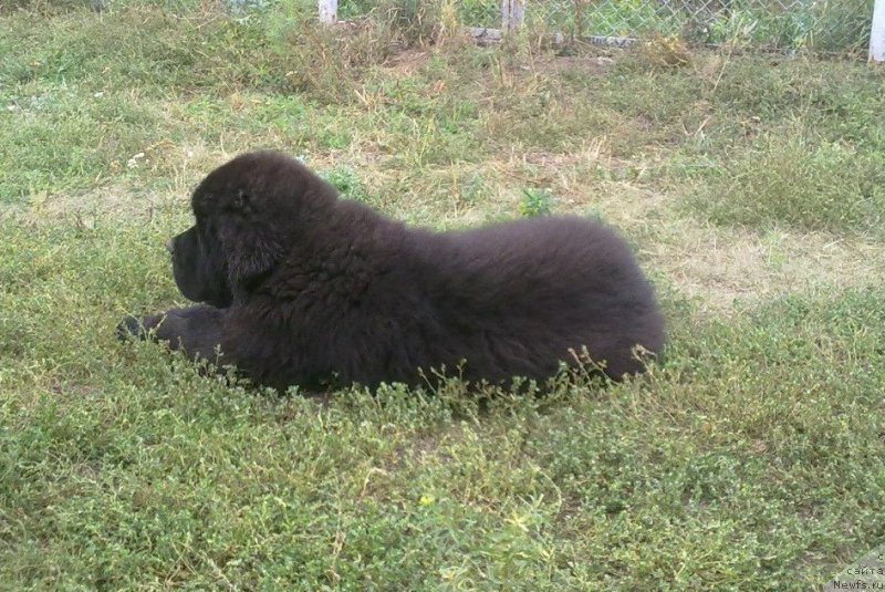 Фотография № 134180