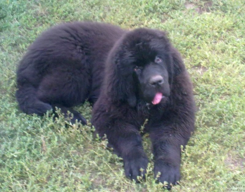 Фотография № 134185