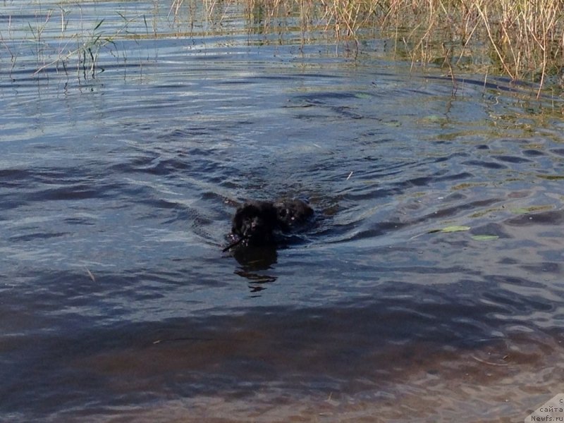 Фотография № 134191