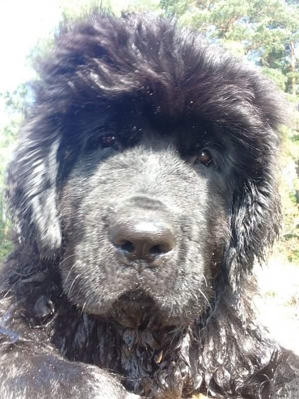 Фотография № 134192