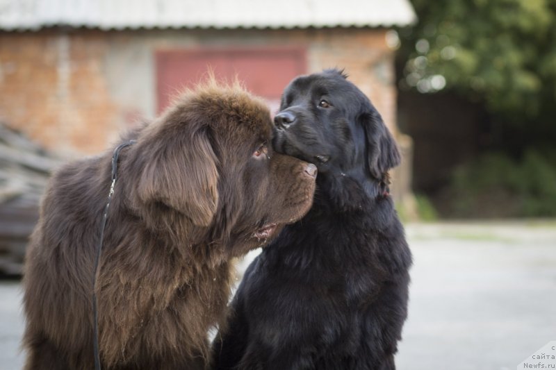 Фотография № 134233