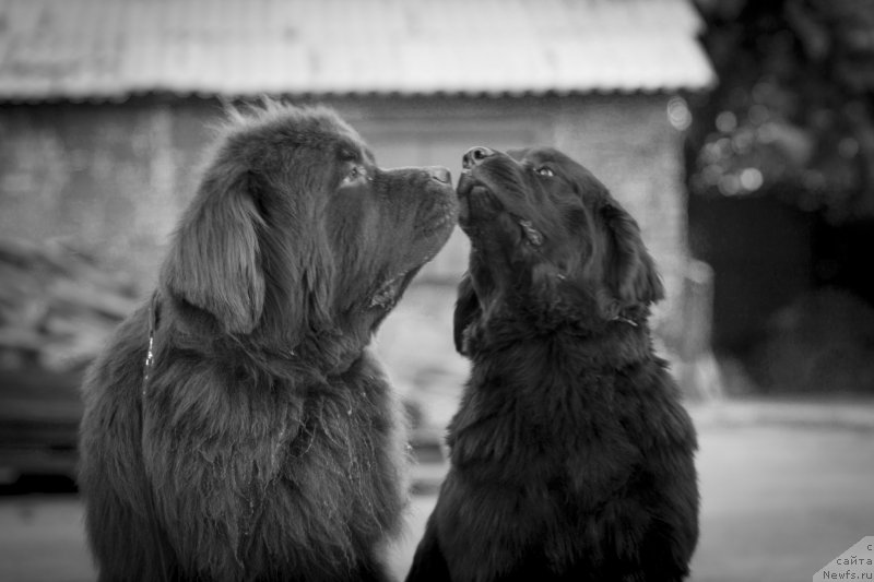 Фотография № 134235