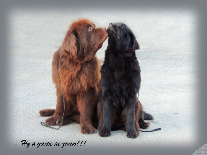 Фотография № 134258