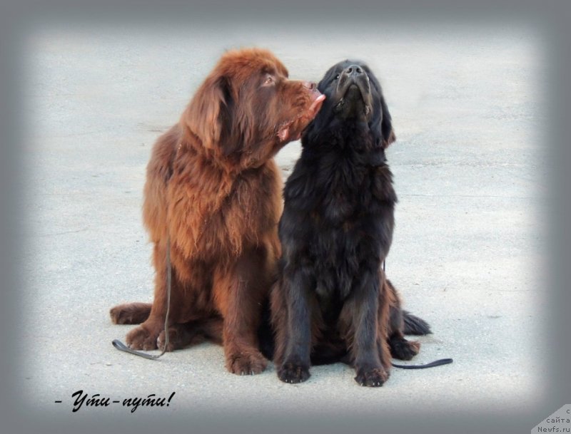 Фотография № 134259