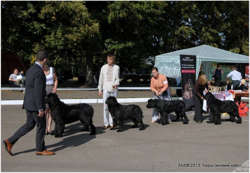 Фотография № 134291