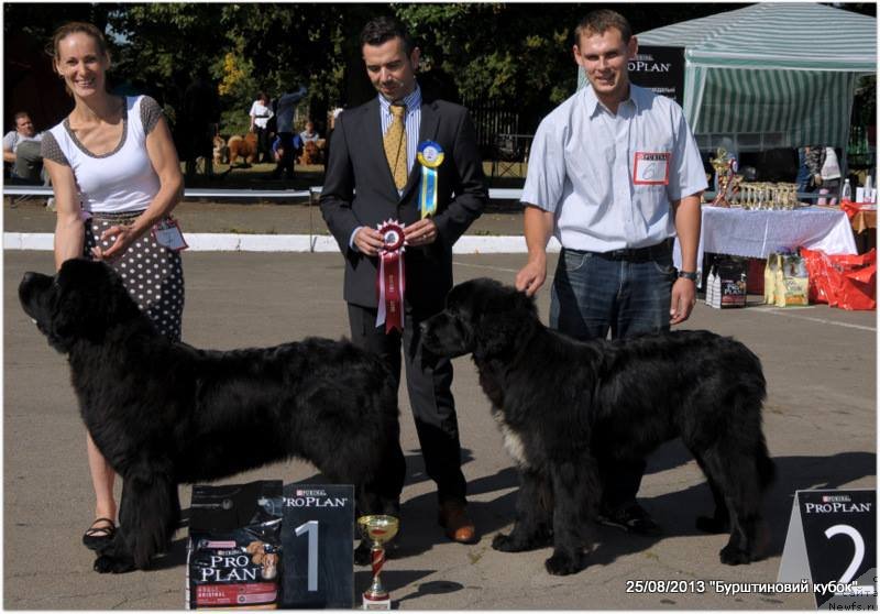 Фотография № 134294