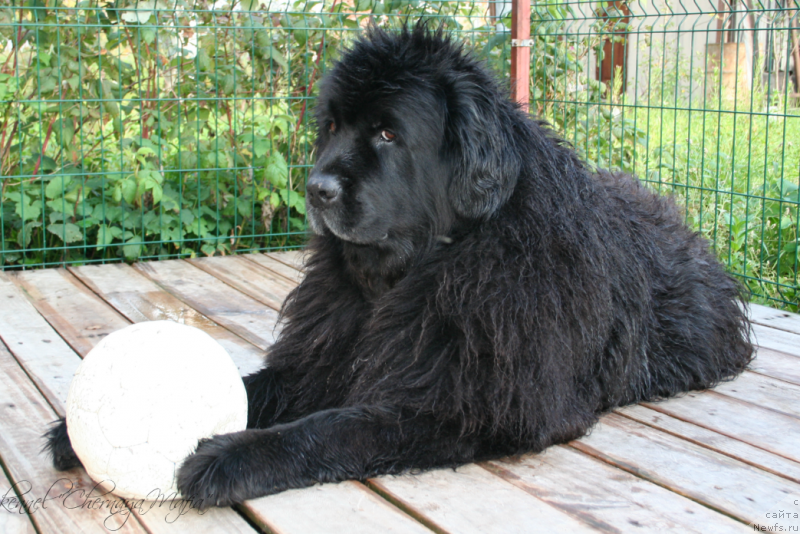 Фотография № 134304