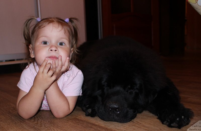 Фотография № 134334