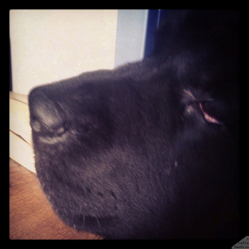 Фотография № 134364