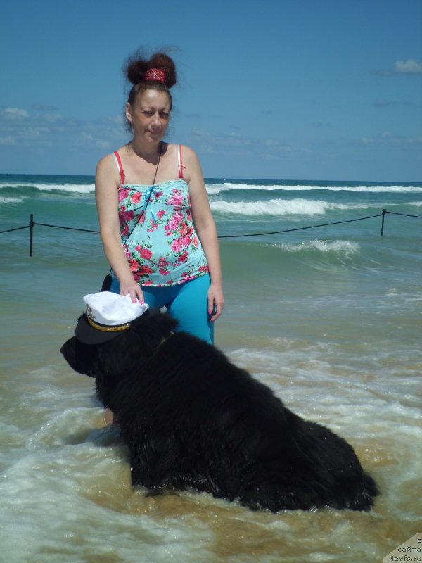 Фото: ньюфаундленд Pitern'yuf CHao-Kakao (Питерньюф Чао-Какао), Lina Troyanskaya (Лина Троянская)