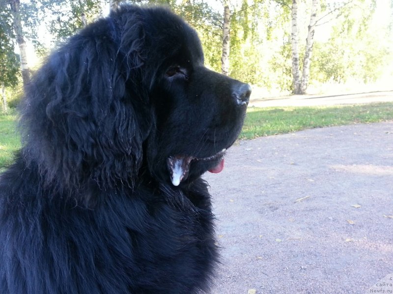 Фотография № 134407