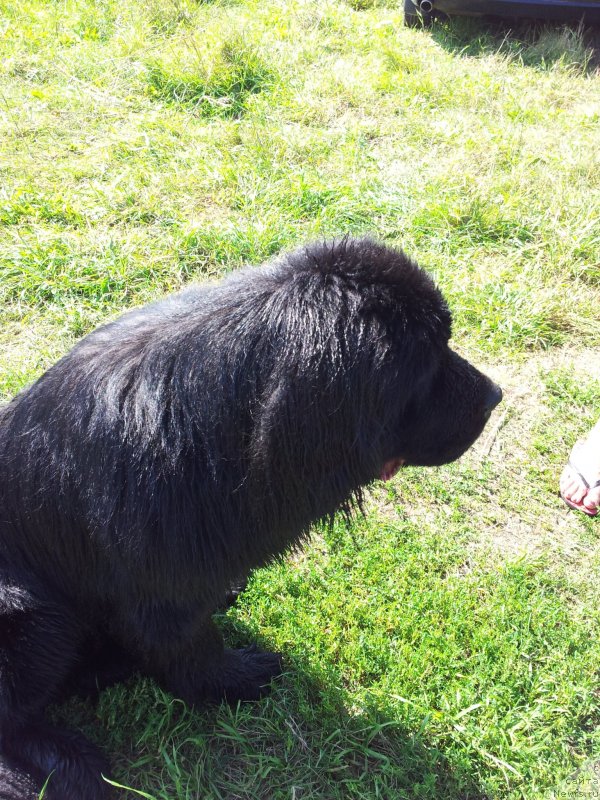 Фотография № 134408