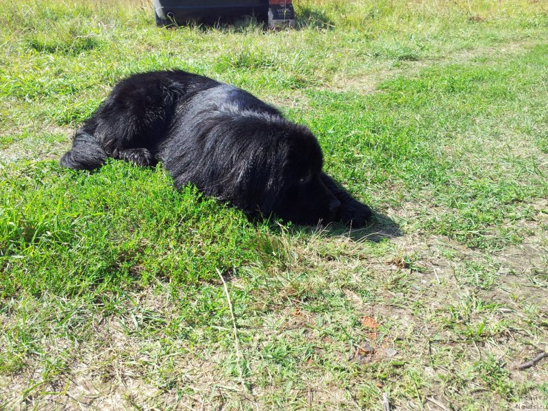 Фотография № 134409