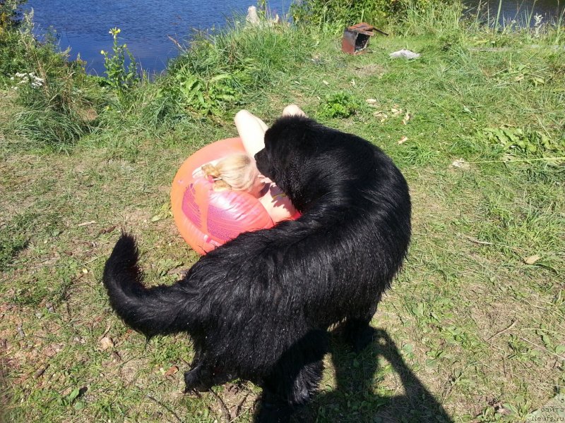 Фотография № 134413