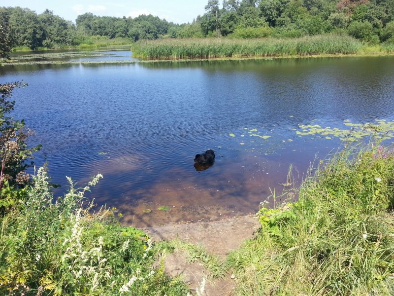 Фотография № 134414