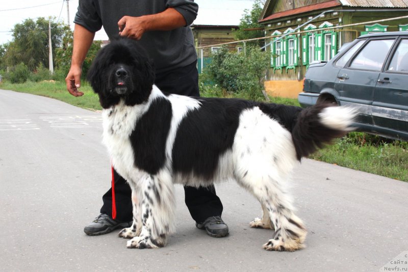 Фотография № 134415