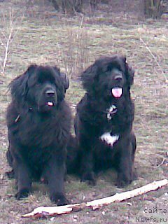 Фото: Линда и Ричард