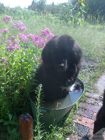 Фото: Линда