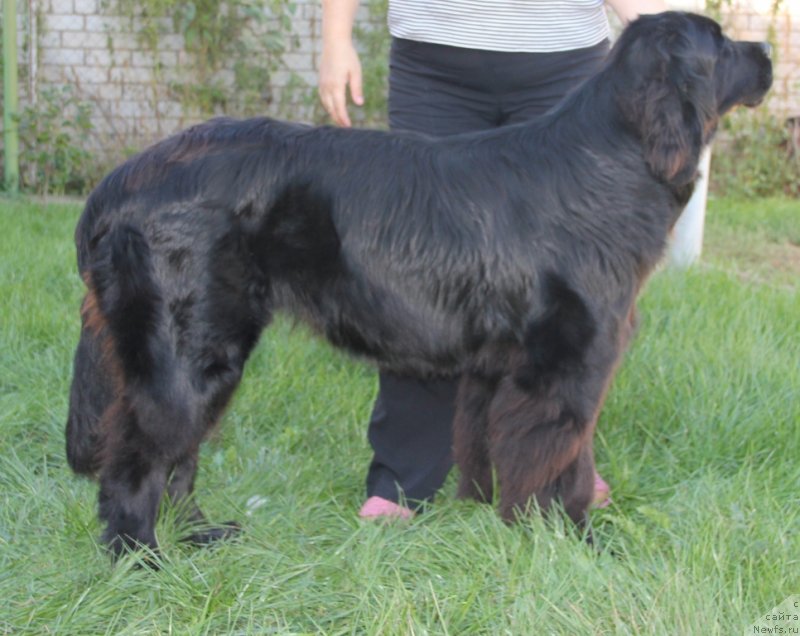 Фотография № 134428