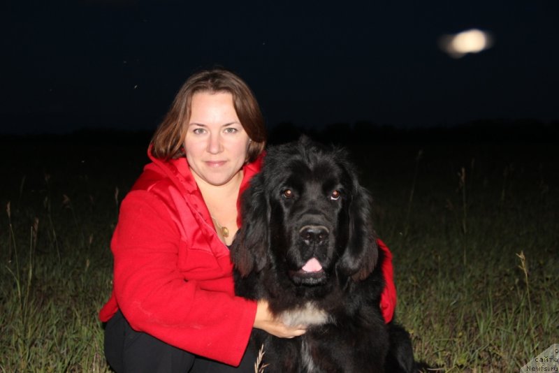 Фото: ньюфаундленд Dark Pride Vivienne (Дак Прайд Вивьен)