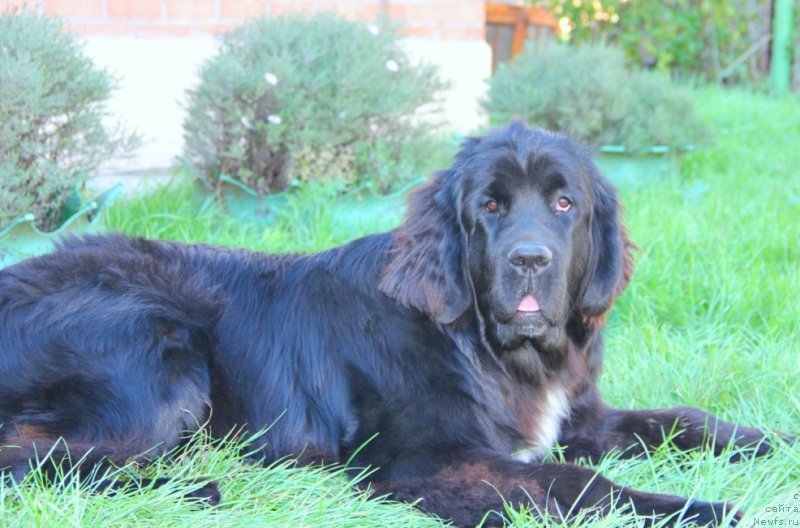 Фотография № 134434